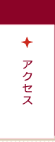 �A�N�Z�X